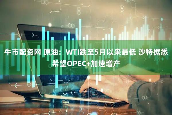 牛市配资网 原油：WTI跌至5月以来最低 沙特据悉希望OPEC+加速增产