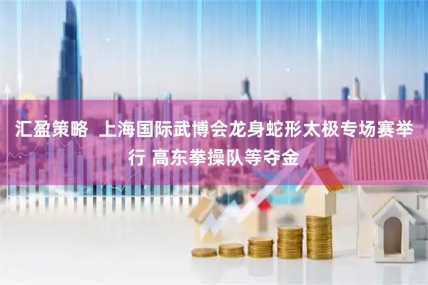 汇盈策略  上海国际武博会龙身蛇形太极专场赛举行 高东拳操队等夺金