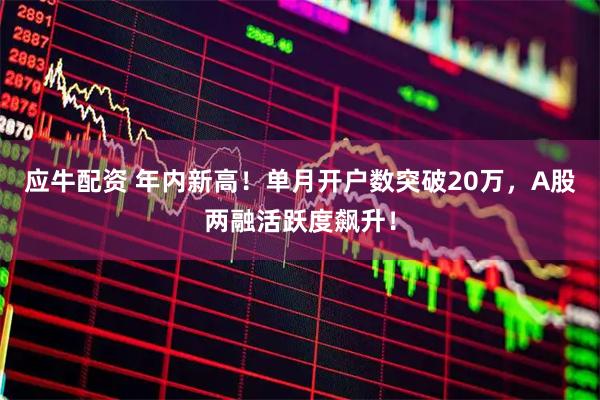 应牛配资 年内新高！单月开户数突破20万，A股两融活跃度飙升！
