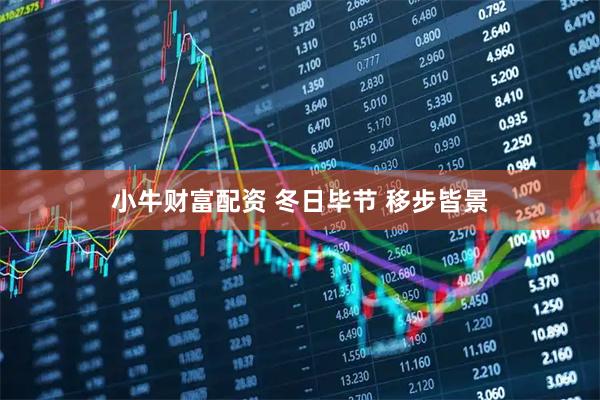 小牛财富配资 冬日毕节 移步皆景