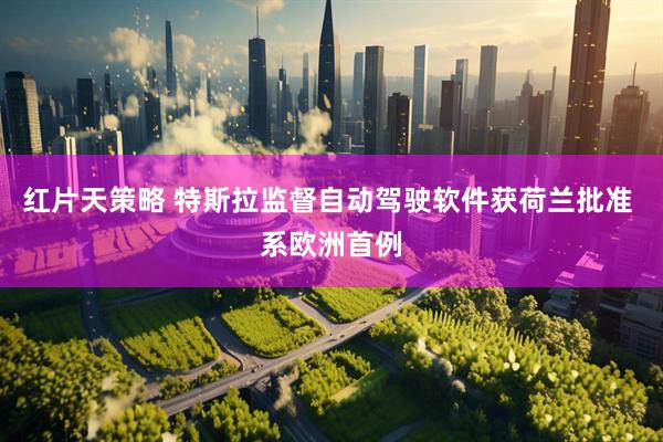 红片天策略 特斯拉监督自动驾驶软件获荷兰批准 系欧洲首例